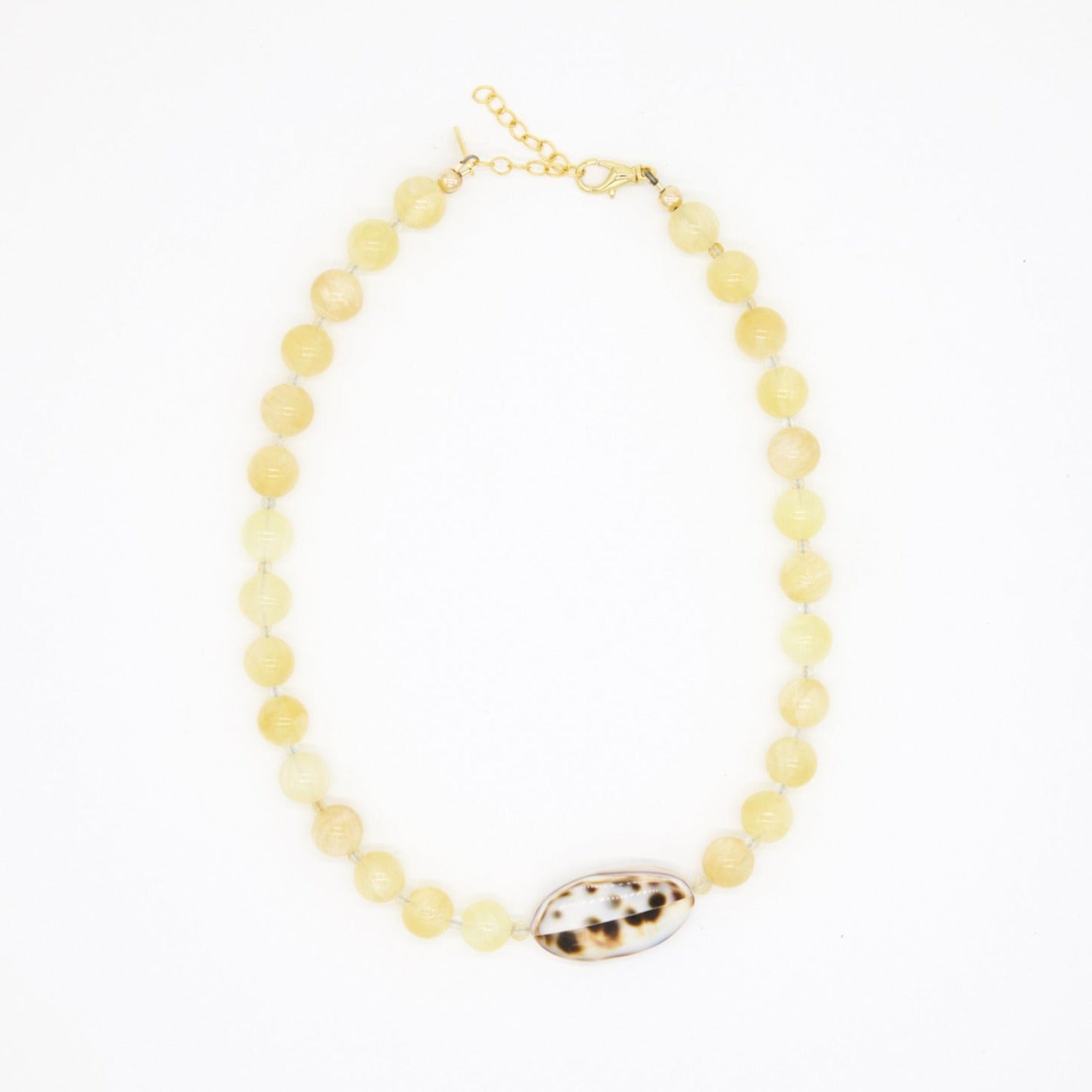 honey calcite + leopard shell