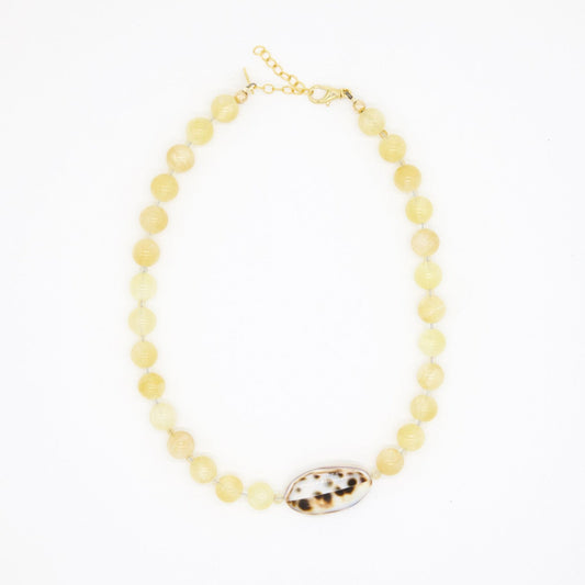 honey calcite + leopard shell